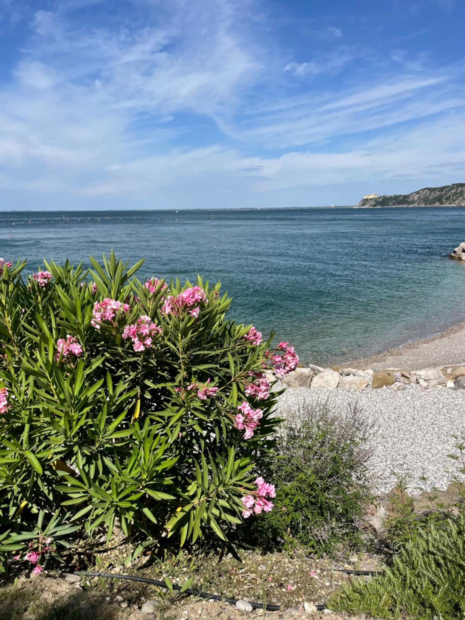Apartament Portopiccolo Sul Mare - Sistiana Zewnętrze zdjęcie